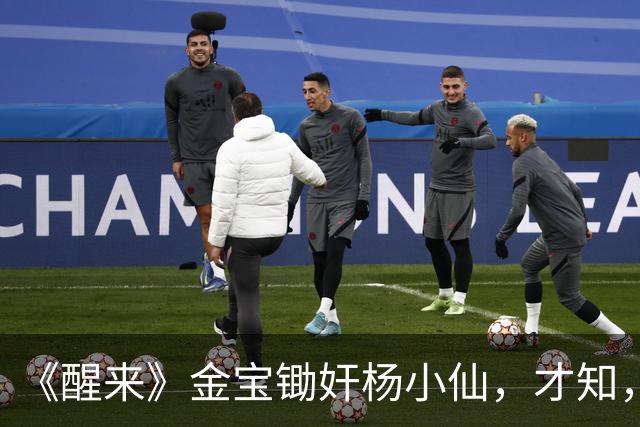 《醒来》金宝锄奸杨小仙，才知，杜黄桥为何追杀金宝、徒弟陈开来